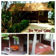 eco-wood-cabin